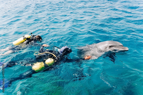 a group of people in the water swim with a dolphin diving in the red sea in israel.