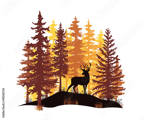 Orange and yellow sunset in coniferous forest. Deer with antlers posing on the hill covered with grass. 