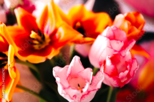 Fototapeta Naklejka Na Ścianę i Meble -  blurred festive background, beautiful tulip heads close-up. fragrant flowers for the holiday on March 8.