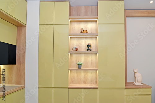 Cabinet furniture in a studio room combined with a kitchen. Modern minimalism © vodolej