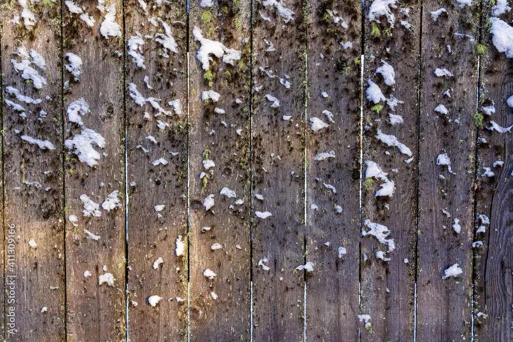 Fototapeta premium abstract grey wood background in moss