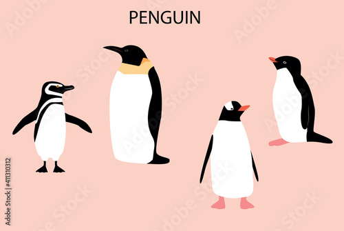Illustration with emperor penguin. Illustration with emperor penguin. Cute cartoon character. Antarctica bird.