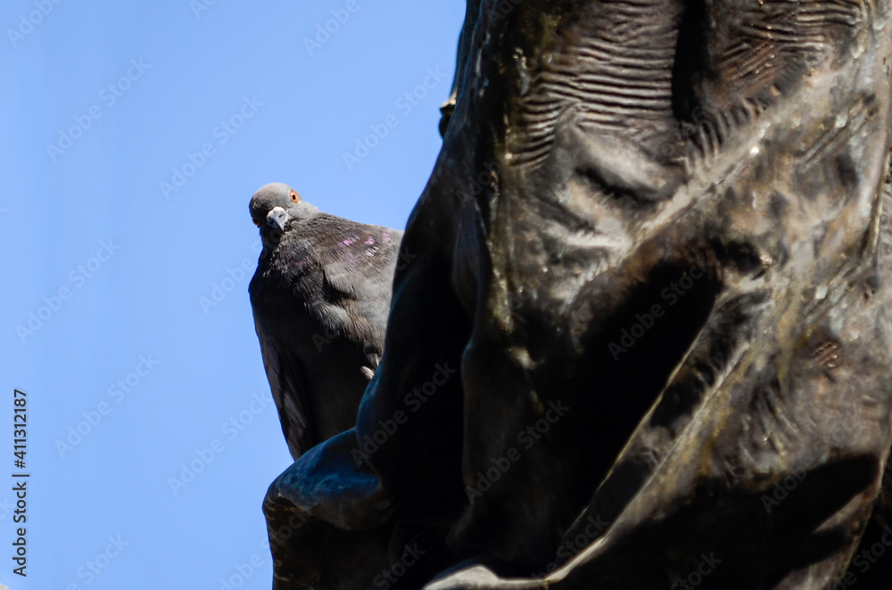 pidgeon on a sculture