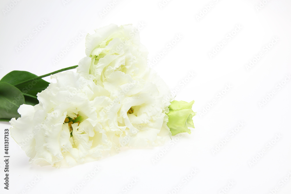 トルコキキョウの花束 トルコキキョウの花束