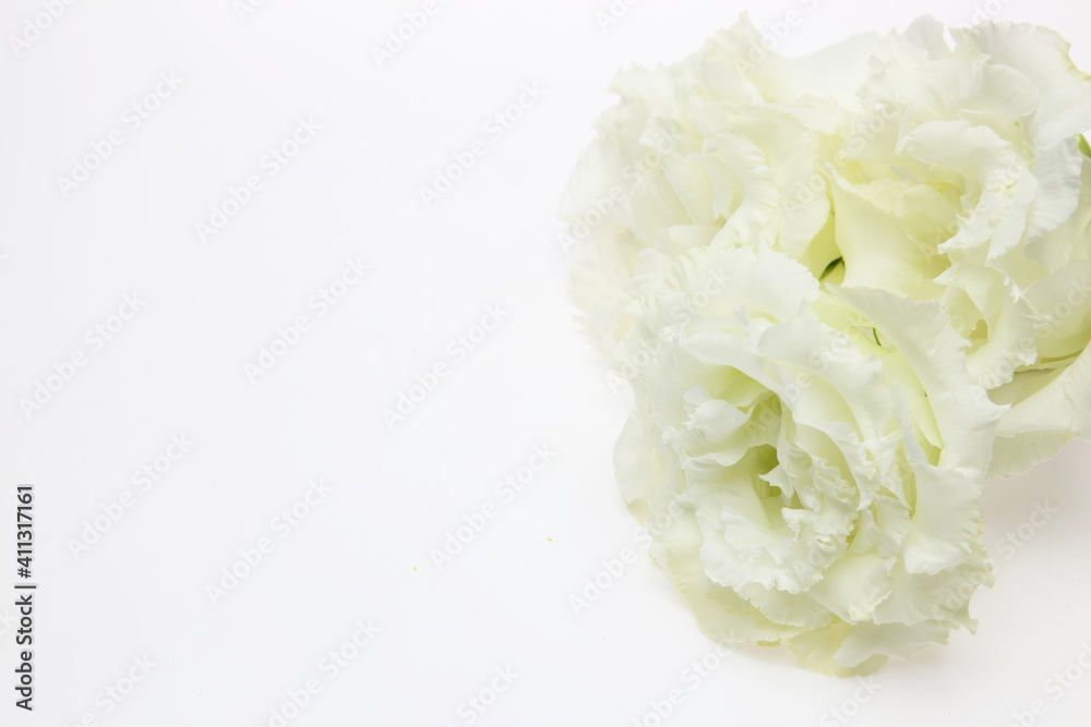 トルコキキョウの花束 トルコキキョウの花束