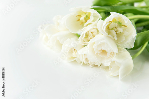 Gefüllte weiße Tulpen