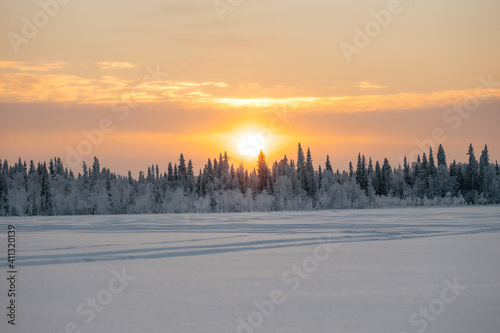 Scene of a beautiful sunset in the forest in the winter season