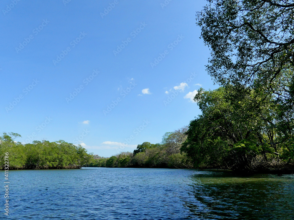 Canal surrounded by mangrove forest, a highly biodiverse and endangered ecosystem, in Costa Rica. Canal surrounded by mangrove forest, a highly biodiverse and endangered ecosystem, in Costa Rica.