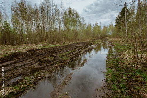 A dirty broken road in a forest in a swamp, through which you can not pass, a difficult road in Russia.