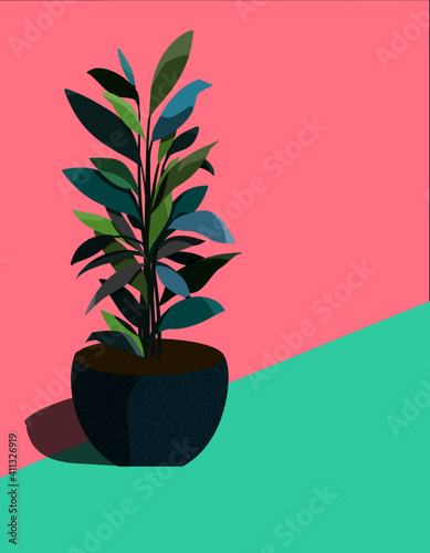 A pot of tropical tree, green and blue green shade, put on the blight blue floor and beautiful pink color wall. Vector image.