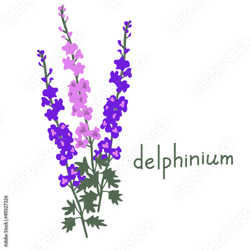 Delphinium vector illustration