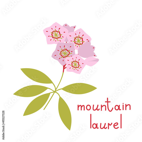 Mountain laurel vector flower