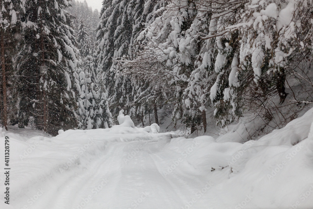 Fototapeta premium A Mountain Road Covered by Snow