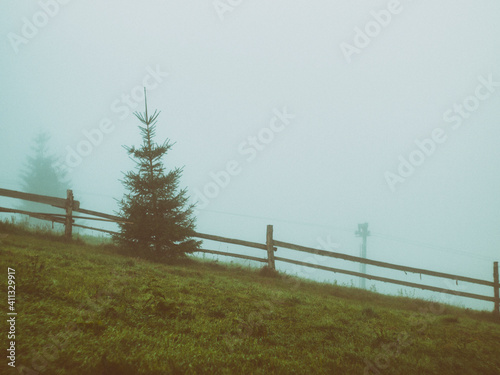 lonely Fir tree near a fence in the misty mountains