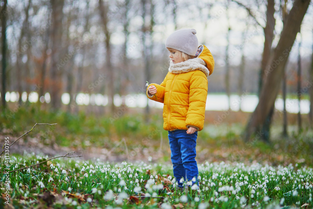 Cute toddler girl standing in the grass with many snowdrop flowers in park or forest on a spring day