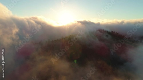 Backwards flying aerial shot over a fog covered forest at sunset. Swirling clouds and beautiful weather and golden light. Dark trees with perfect clouds above.
