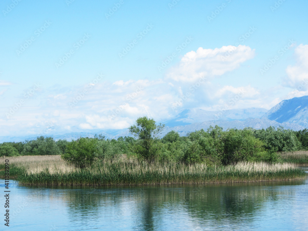 landscape with lake