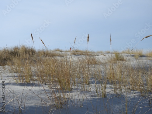 Dünen Spiekeroog