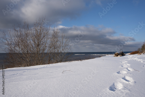 Fototapeta Naklejka Na Ścianę i Meble -  The Baltic Sea beach is snowy white in winter and the trees have no leaves, human footprints in the snow