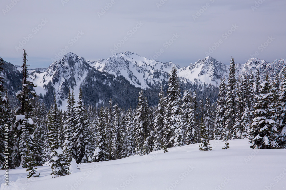 Wintry scene at Paradise, Mt. Rainier National Park in Washington state
