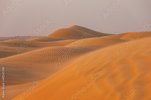 Fototapeta Naklejka Na Ścianę i Meble -  Sand dunes in the desert of Oman.
