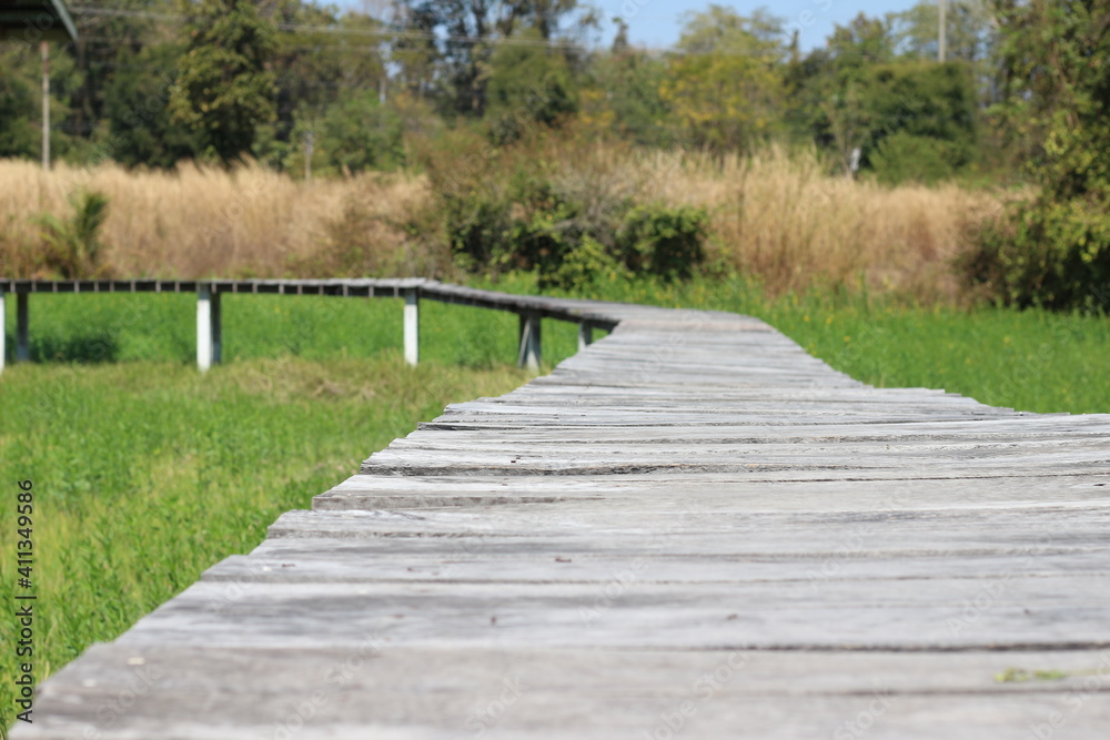 View of a wooden walkway in the natural grass