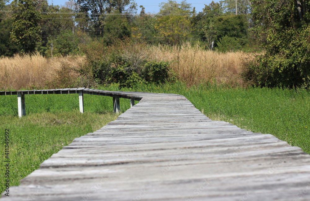 View of a wooden walkway in the natural grass
