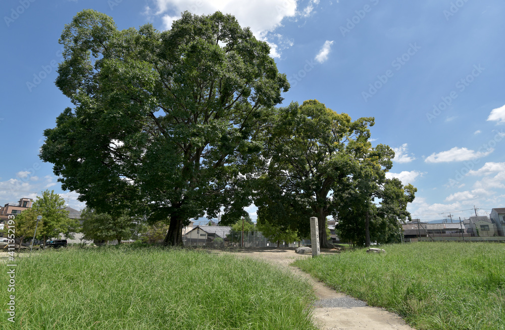 平安京西寺跡 京都市南区 平安京西寺跡 京都市南区