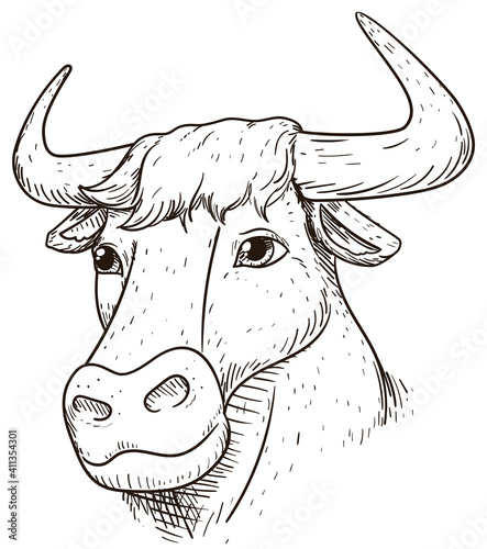 Isolated ox head in hand drawn style, Vector Illustration