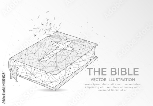 The Bible digitally drawn low poly wire frame on white background.