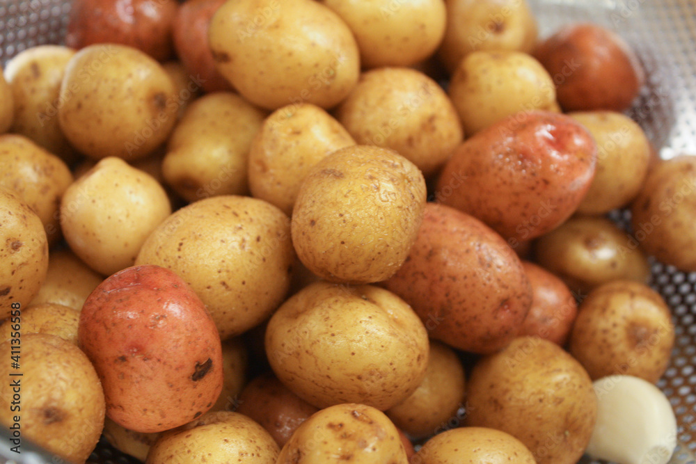 Washed small neu golden potatoes
Washed small neu golden potatoes