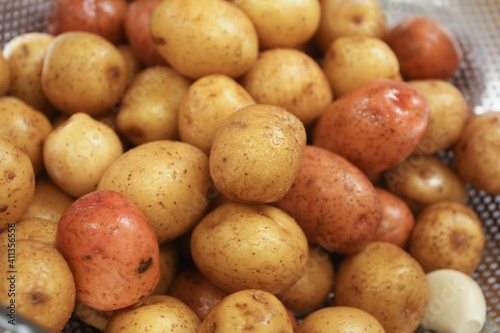 Washed small neu golden potatoes 