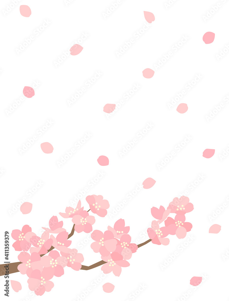 桜122　さくら　花　カード