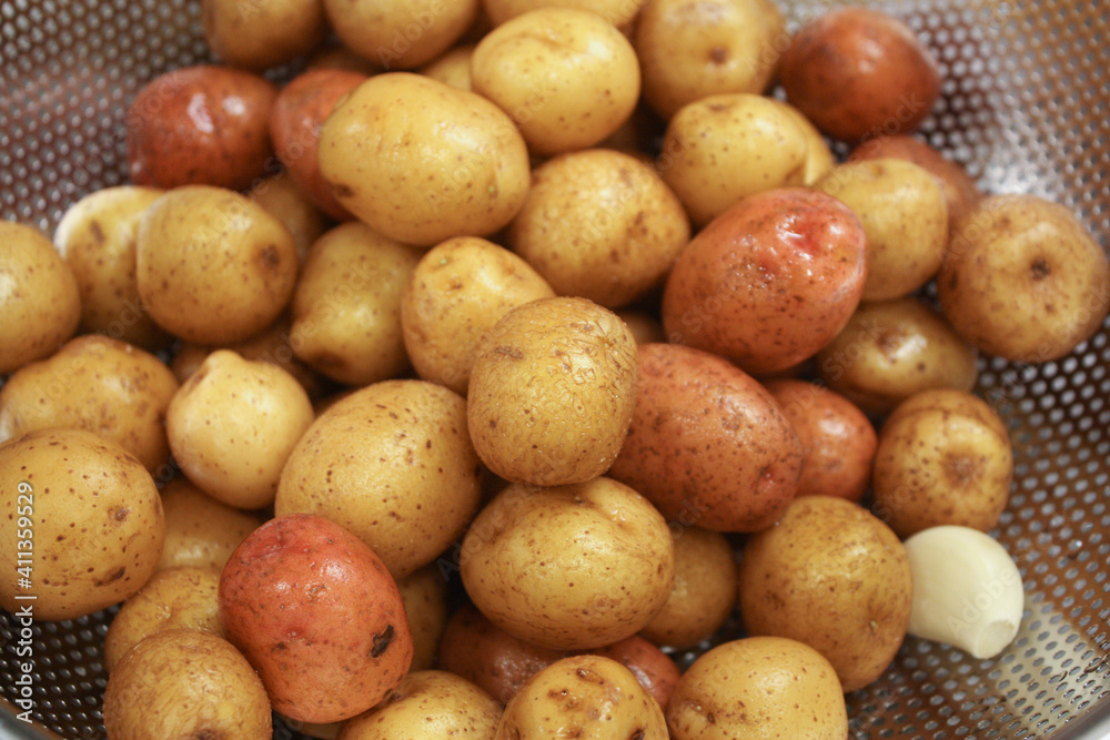 Washed small neu golden potatoes Washed small neu golden potatoes