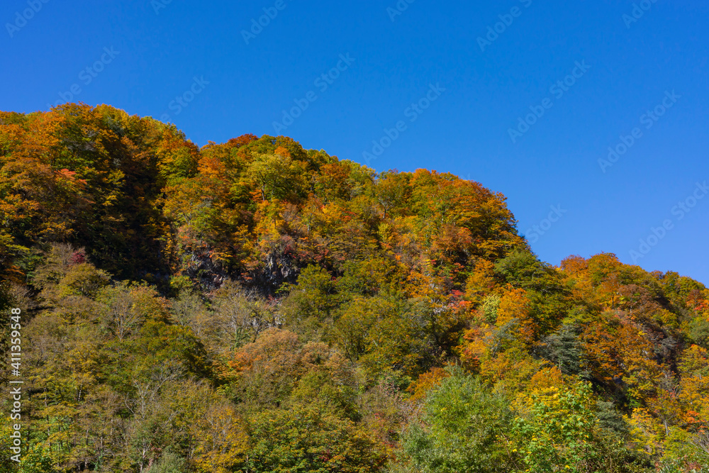 快晴の青空と鮮やかな山の紅葉