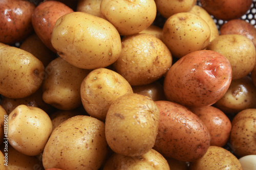 Washed small neu golden potatoes