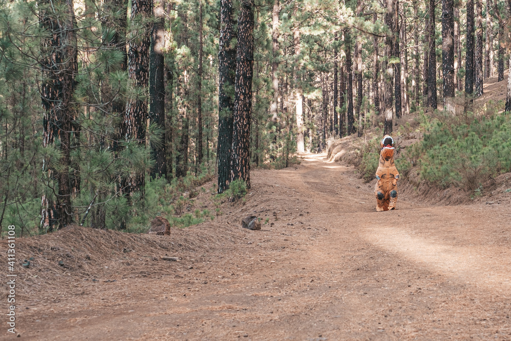 one t-rex costume discovering the earth and walking in the road of a forest or mountain looking for something one t-rex costume discovering the earth and walking in the road of a forest or mountain looking for something