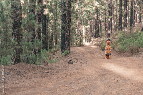 one t-rex costume discovering the earth and walking in the road of a forest or mountain looking for something © Daniel