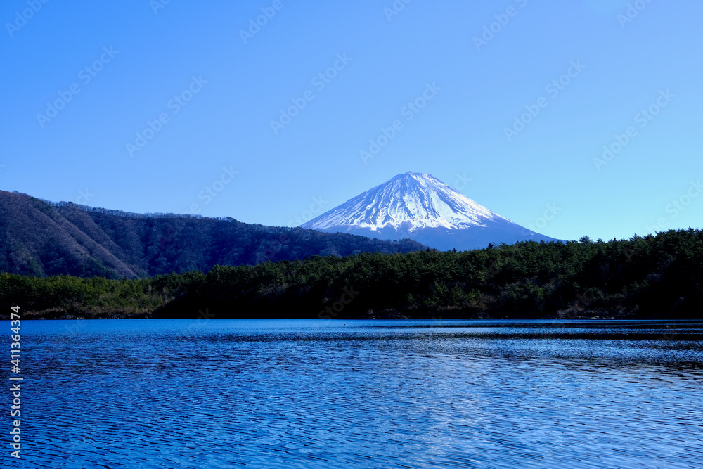 【山梨】西湖から見る富士山（冬）