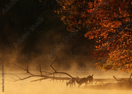 Lake Decatur © Clay Jackson