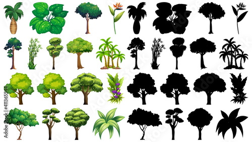 Set of different tree with its silhouette on white background