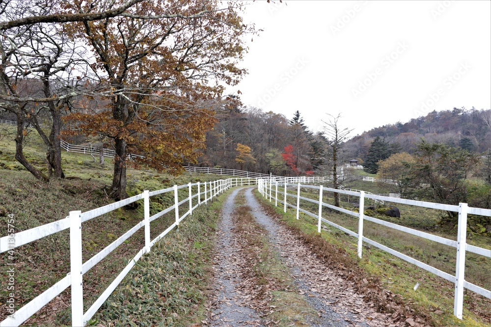 群馬県鹿沼市の横根高原