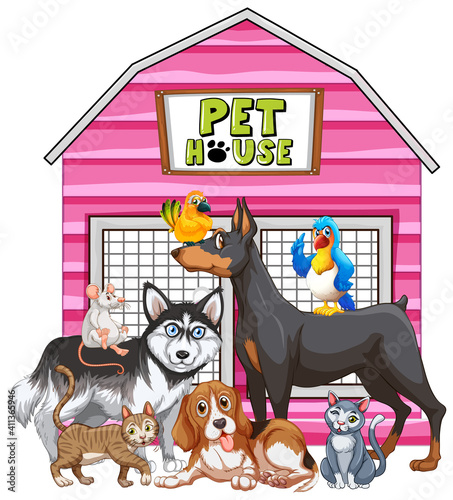 Group of pet on white background