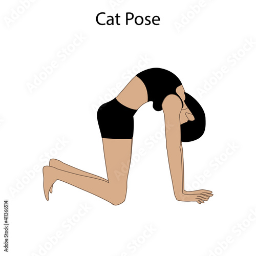 Cat pose yoga workout. Healthy lifestyle vector illustration