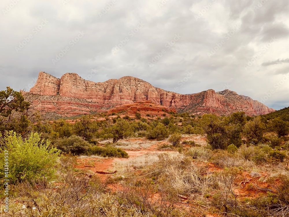 Fototapeta premium Rustic 2