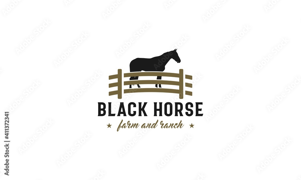 a strong looking dark horse and horse farm a strong looking dark horse and horse farm