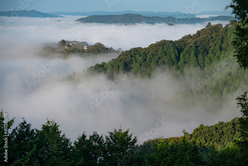 雲海に浮かぶ備中松山城 Sea of clouds photo