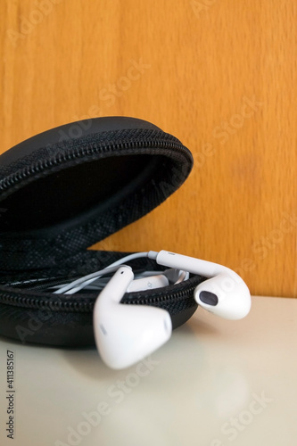 earphone  in case