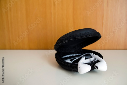earphone  in case