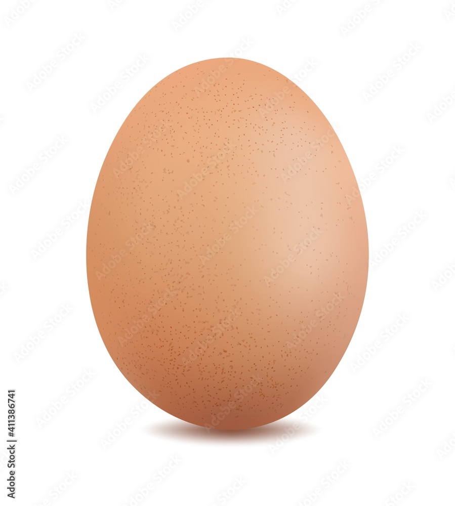 chicken egg isolated on white background vector illustration chicken egg isolated on white background vector illustration